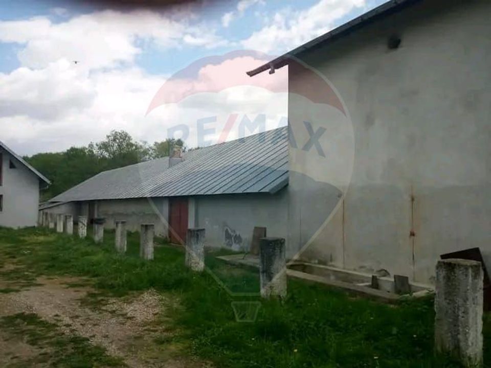 Teren intravilan si construcții în comuna Dragodana, sat Burduca.