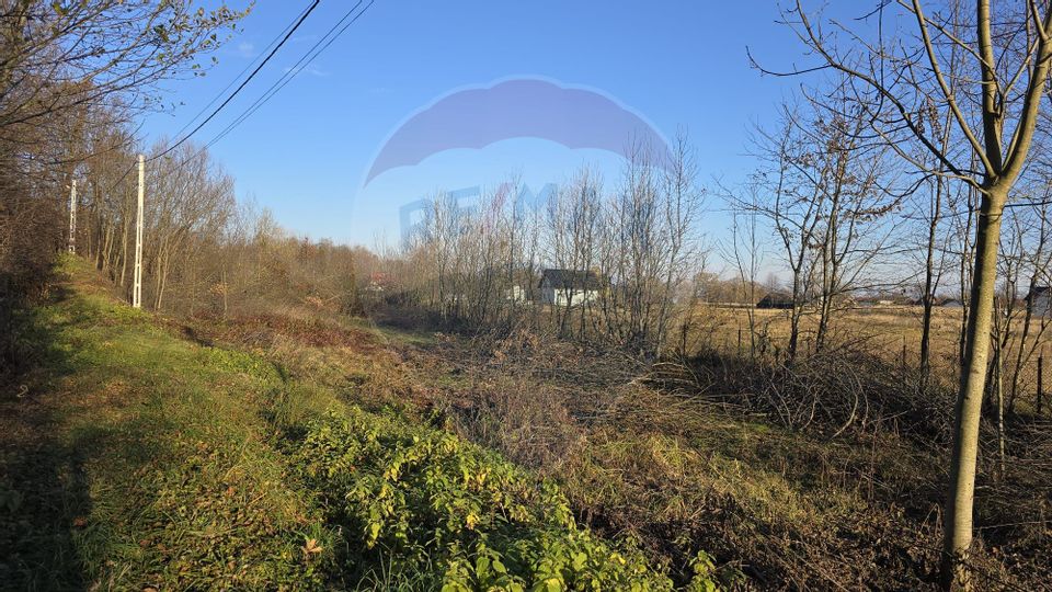 Land 10,860sqm Fratautii Noi / Strada Dealului