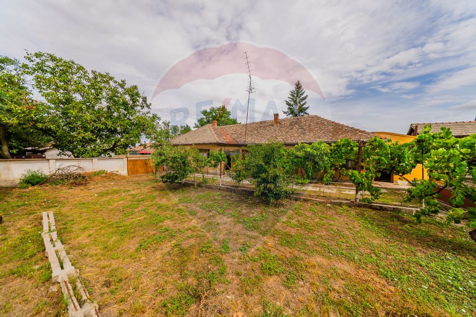 Casă cu 4 camere și teren 540 m în Pecica – Zonă excelentă