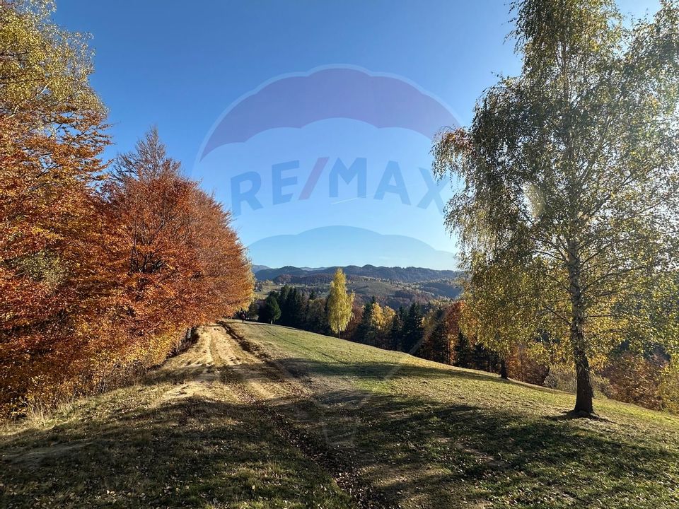 Investment opportunity ! Dream land in Pestera - 125,370 sqm