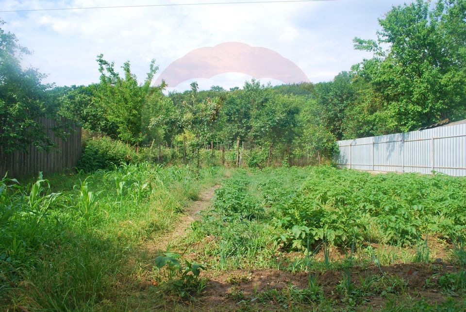 Casă P + 1E, com Cleja, Sat Valea Mica, jud Bacau