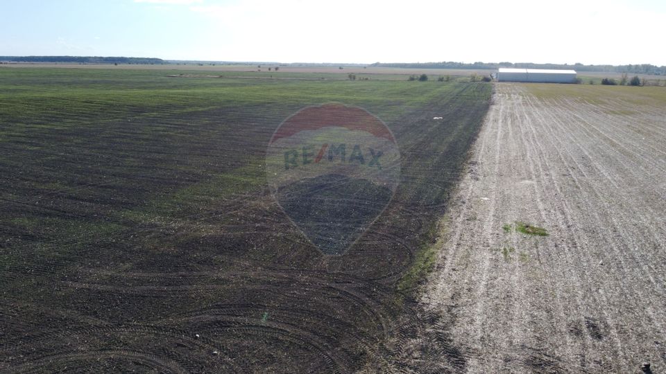 Land plot 38800 sqm with great potential, ideal for investments