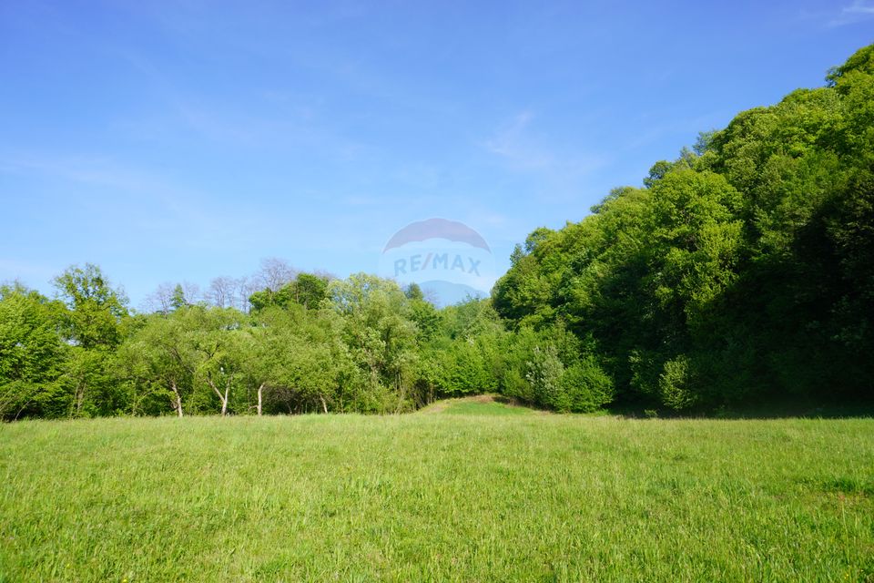 Land 33,137sqm Sighetu Marmatiei / Strada Mocăniței