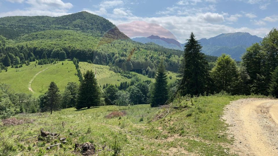 Land 6,000sqm Dalghiu / DJ 103A