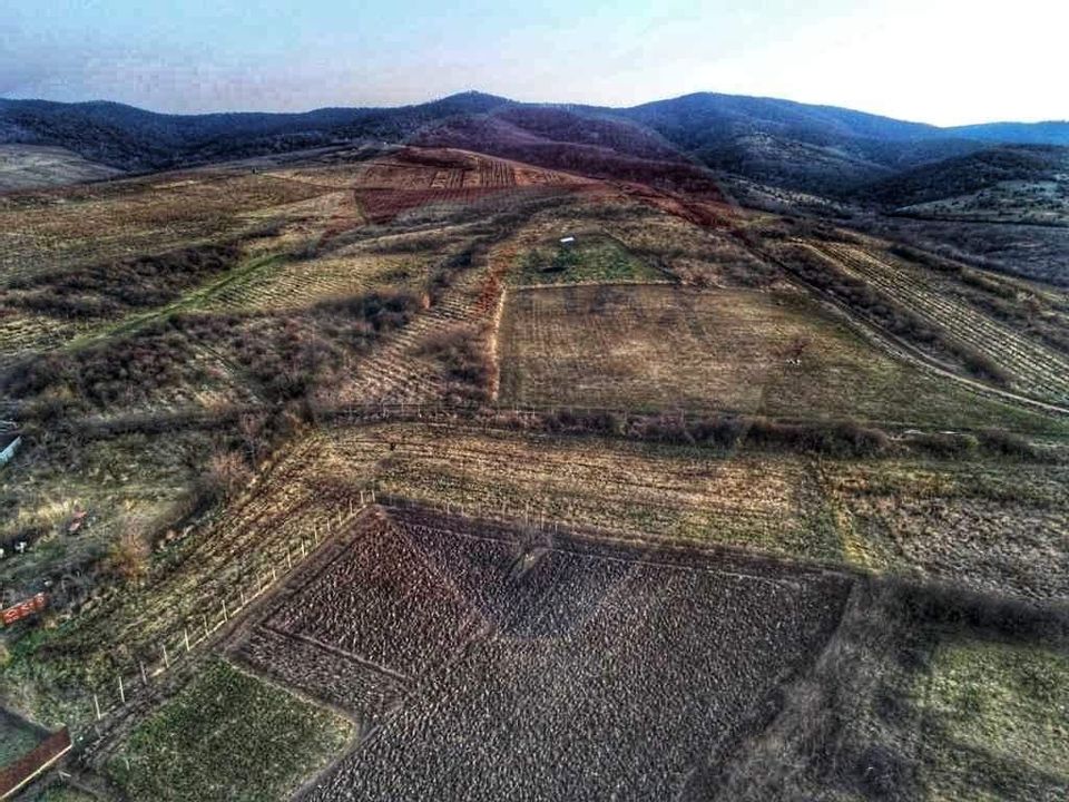 Land 3,659sqm Covasint / Strada Liliacului