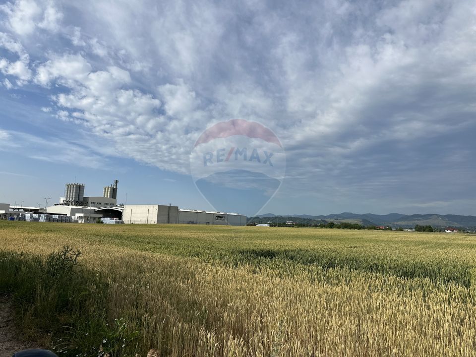 Land 8,800sqm Roznov / Strada Paltinului