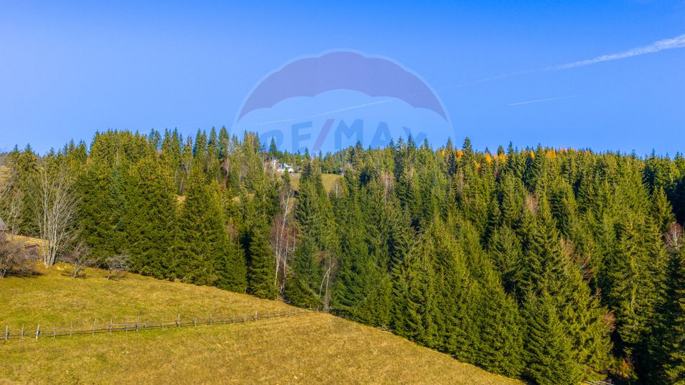 Land 13,800sqm Fundatica / Drumul FN