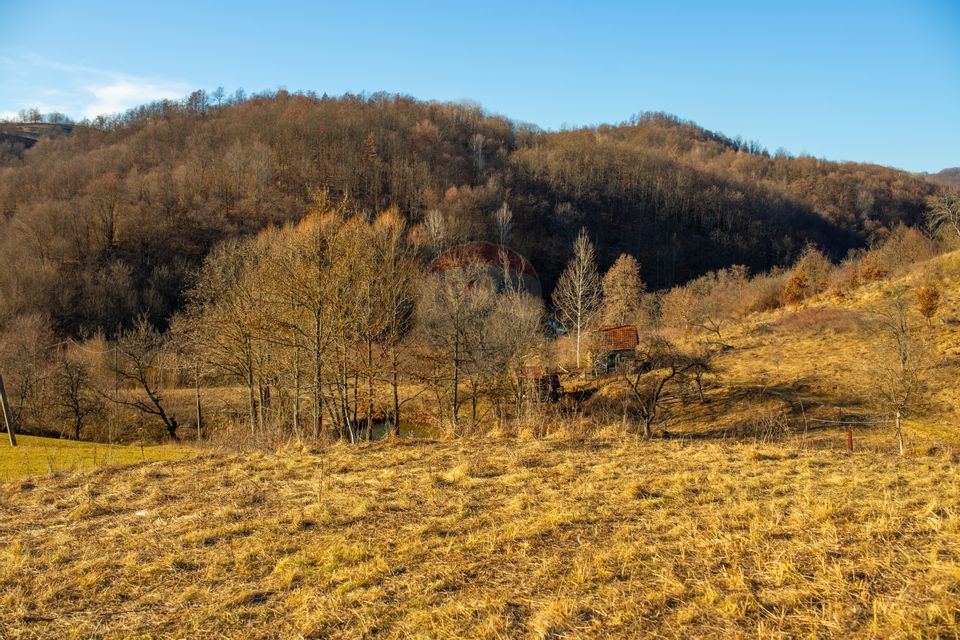 Land 13,811sqm Certeju de Jos / Strada Principala