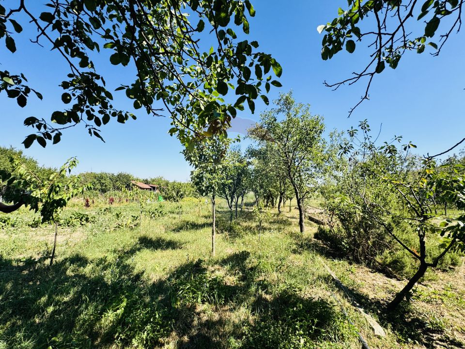 Teren 6,210mp Apateu / Strada Principala