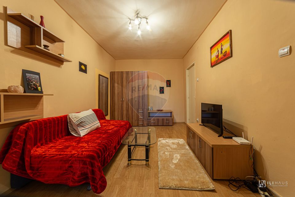 Apartament o camera Banu Maracine