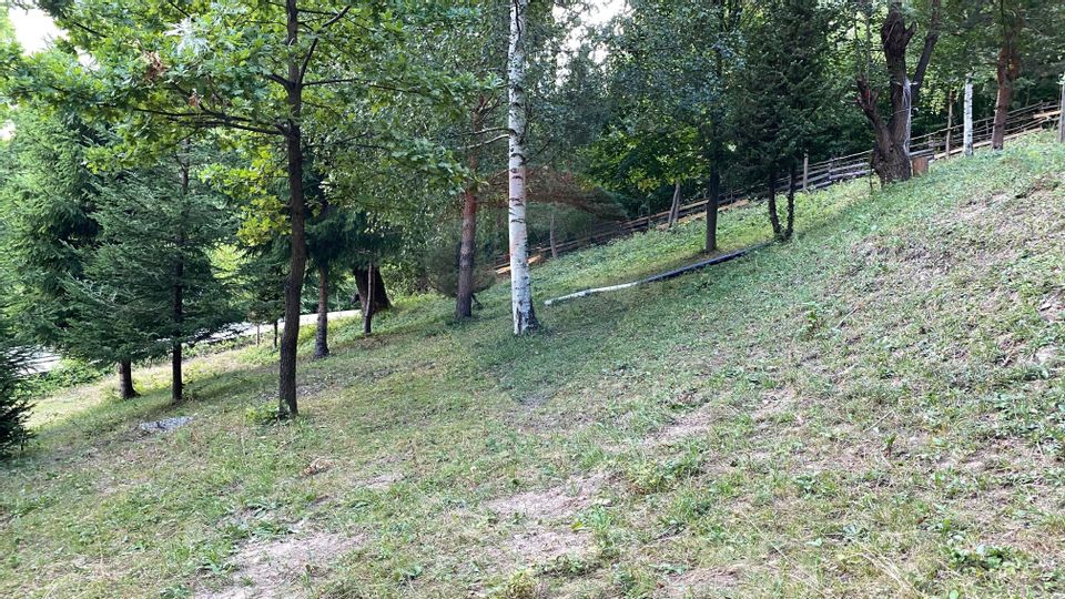 Teren extravilan de vanzare 1,019mp Lepsa Vrancea