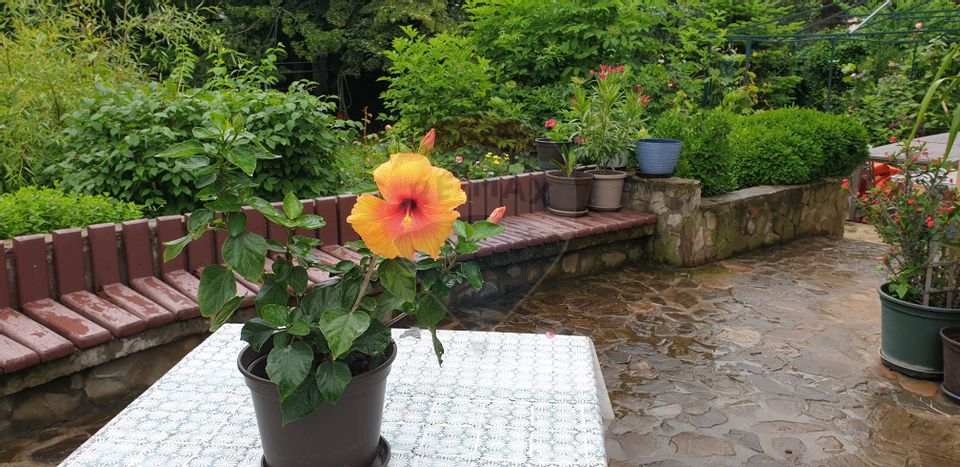 7 room House / Villa for sale