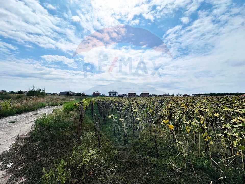 Land 14,863sqm Ciorogarla / None