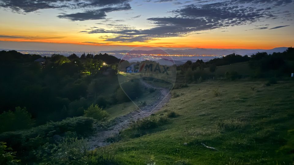 DE VANZARE CASA CU SUFELT SI ISTORIE