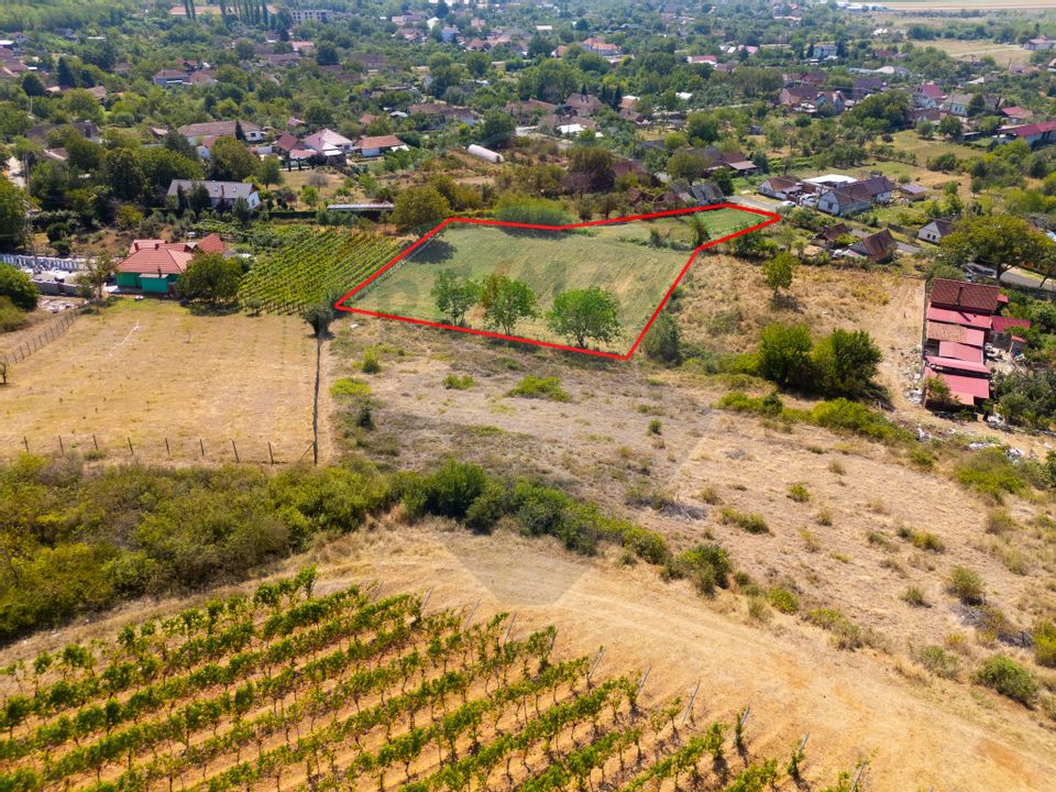 Land 4,184sqm Minis / Strada De sub deal