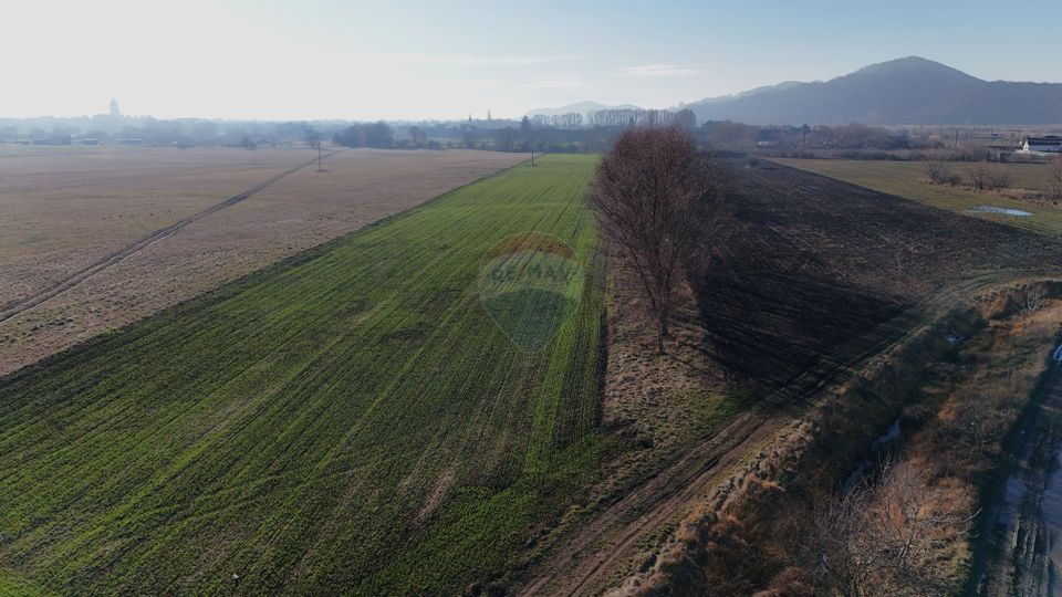 Teren extravilan cu potențial ridicat rezidential/industrial | Hărman