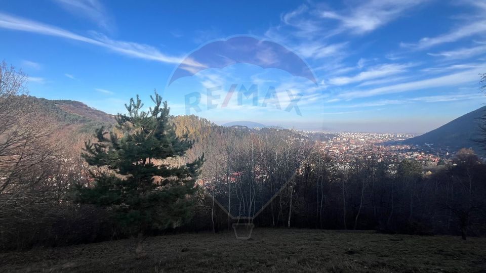 Teren Colinar Panoramic – 17.684 mp în Scheii Brașovului