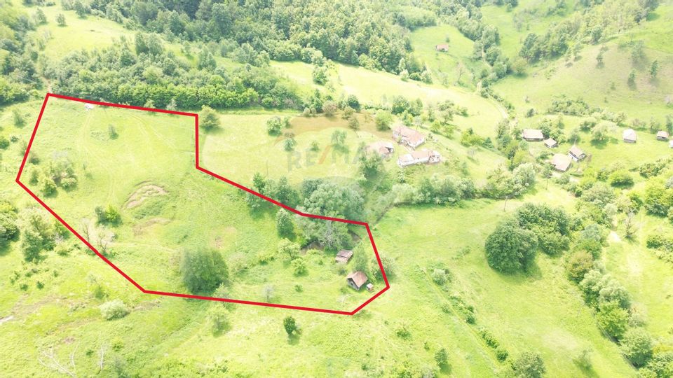 Teren intravilan de vis în Munții Apuseni, curent + izvor – 13.811 mp