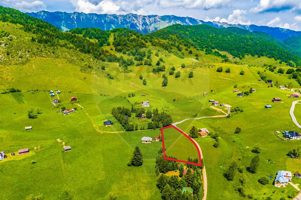 Teren drept intravilan de vanzare, 5.731mp, Sirnea, BRASOV