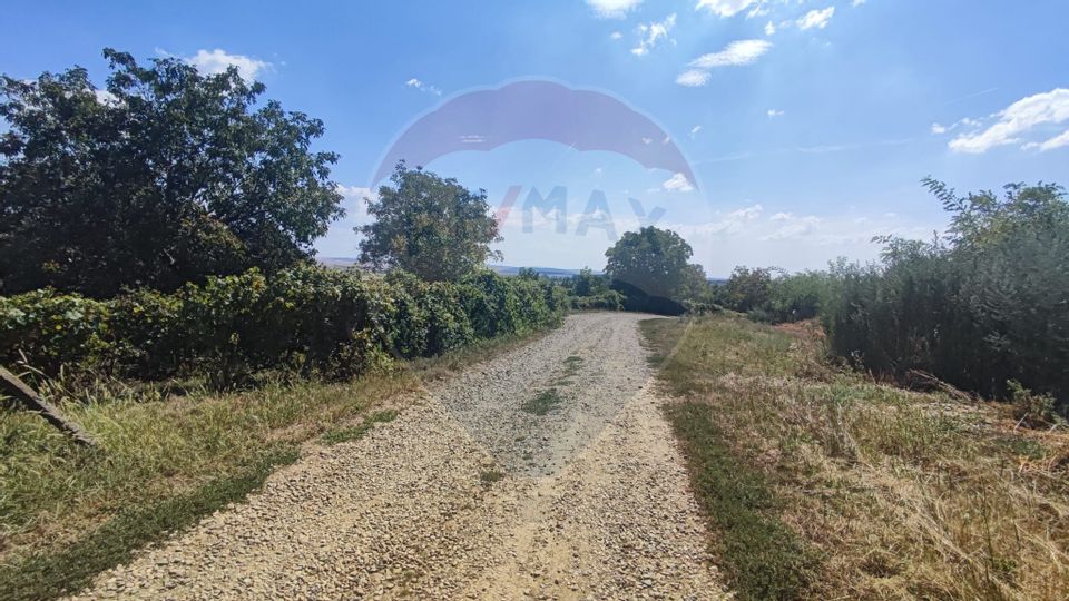 Land 12,818sqm Santimreu / Strada Principala