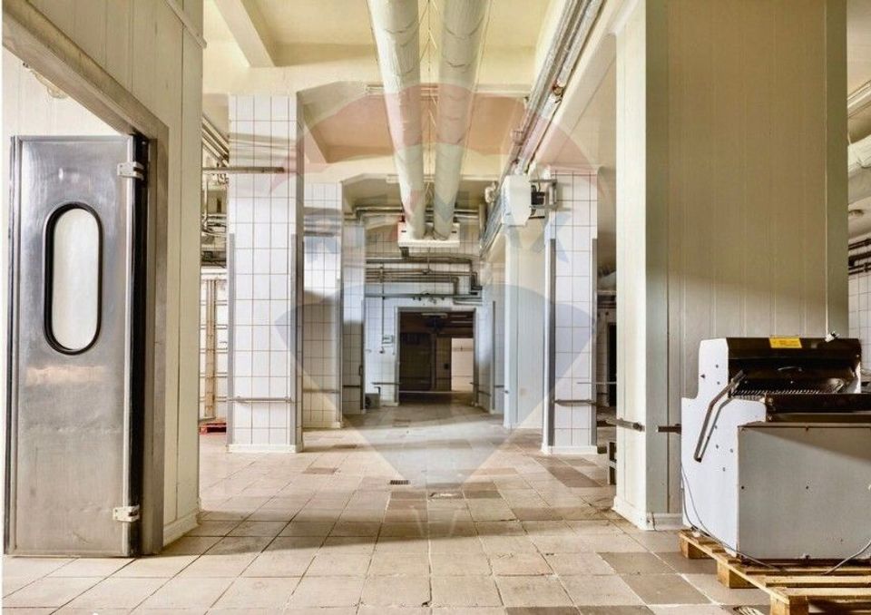 Fabrica de preparate si conserve din carne  la Medias