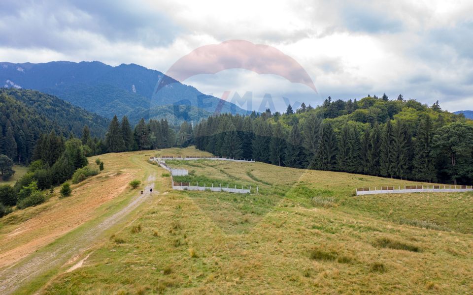 Teren Dâmbul Morii, 1209mp, toate utilitățile, la marginea pădurii