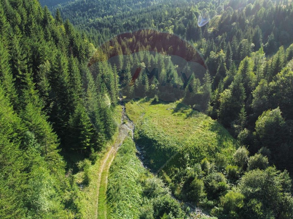 Teren 2,895mp Strada Priseci acces auto in zona telecabina BORSA