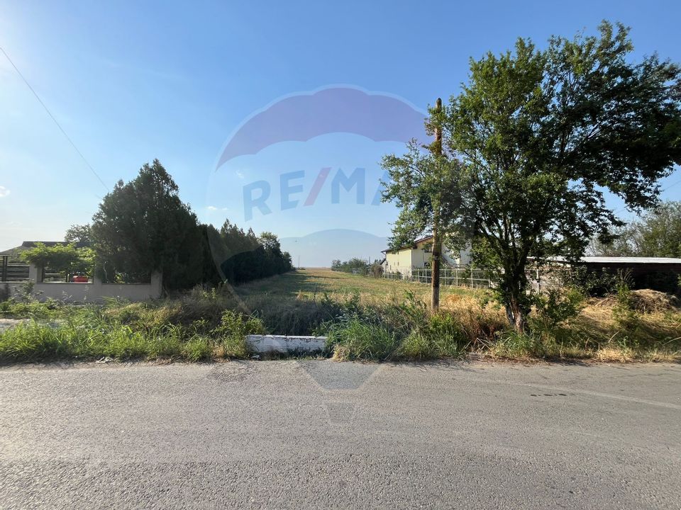 Construction land, 2500 sqm, Com Plataresti, Calarasi County