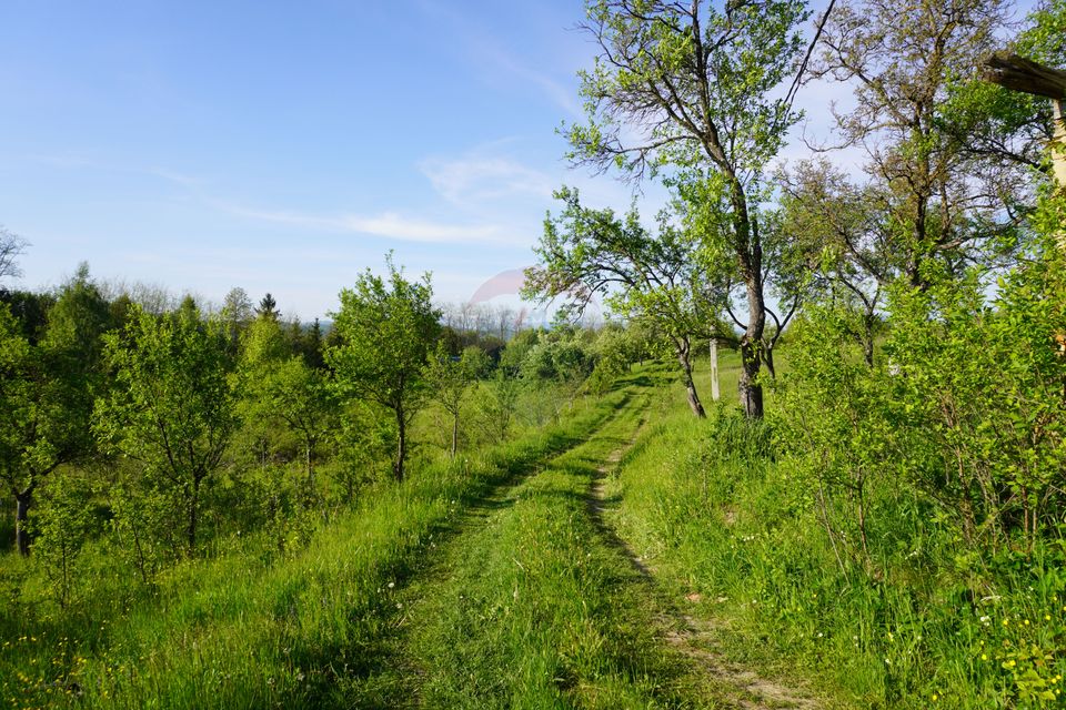 Land 38,592sqm Sighetu Marmatiei / Strada Mocăniței