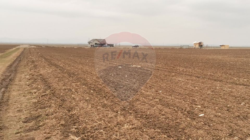 Land 52,410sqm Tarlungeni / Strada Harmanului