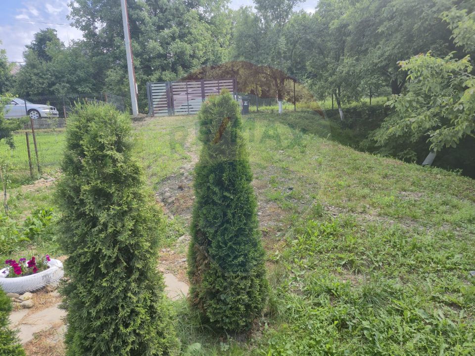 3 room House / Villa for sale