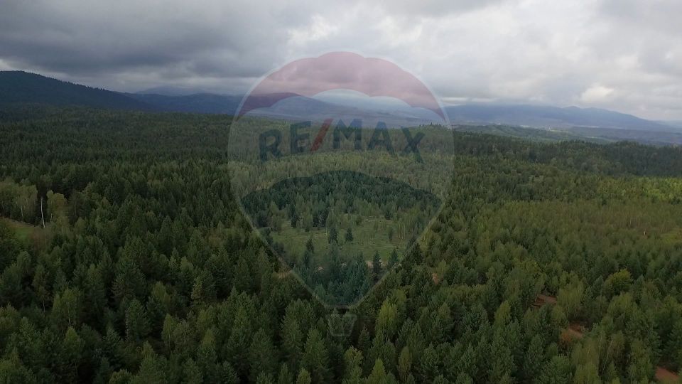 Teren extravilan parcelabil Călățele Pădure, zona Dealu Negru