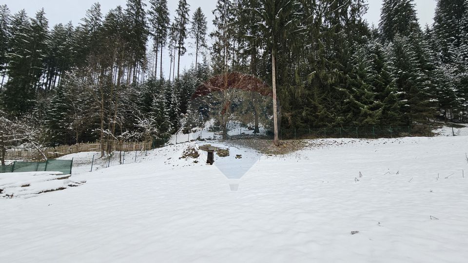 Teren in Bucovina, intravilan 3824 mp Deia-Frumosu, Suceava