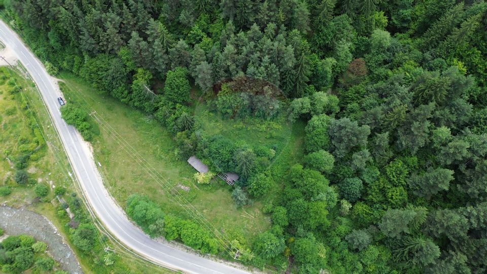 Teren spectaculols de vânzare la baza Muntelui Iezer – 11.546 mp c