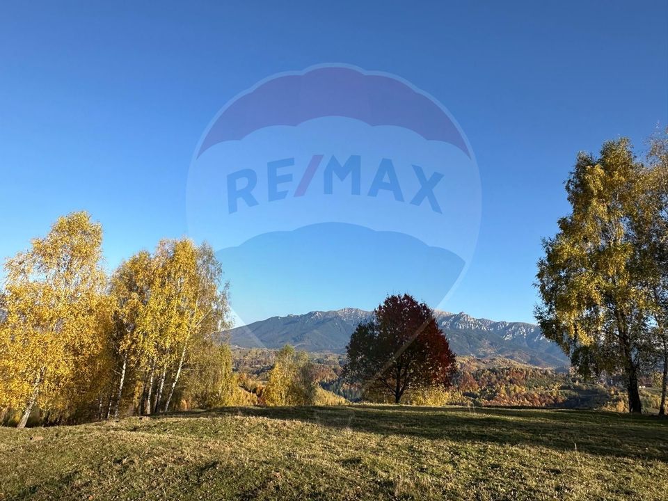 Investment opportunity ! Dream land in Pestera - 125,370 sqm