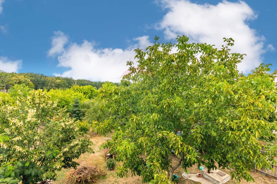 5 room House / Villa for sale