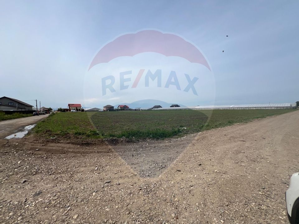 Land 17,000sqm Matca / Strada Grigore Antipa