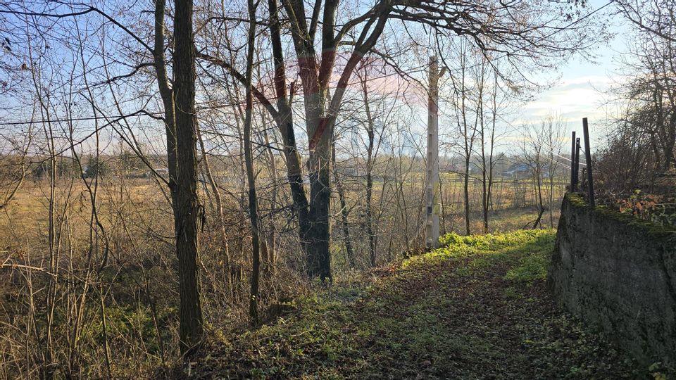 Land 10,860sqm Fratautii Noi / Strada Dealului