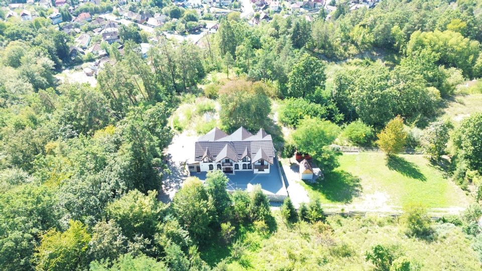 Pensiune de vânzare în Sovata – Conacul Cosalina