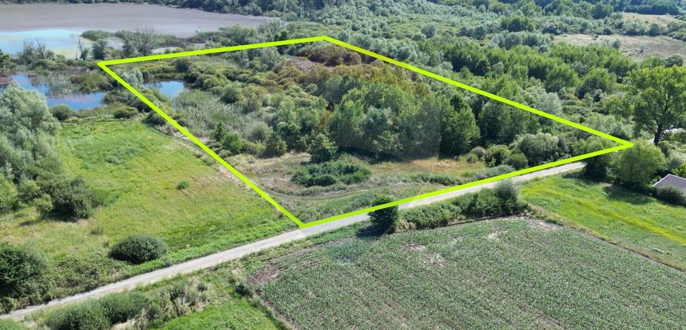 Land 17,300sqm Lugoj / Intrarea Lacul Surduc