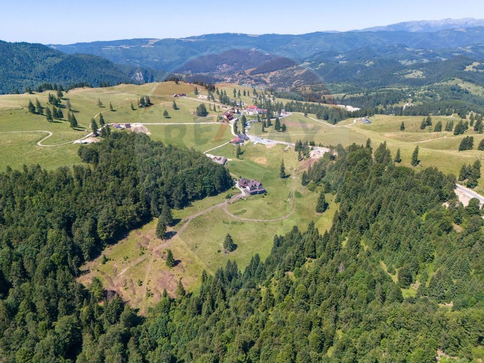 Teren intravilan, 6000mp Dambovicioara / DN 73- dealul sasului!