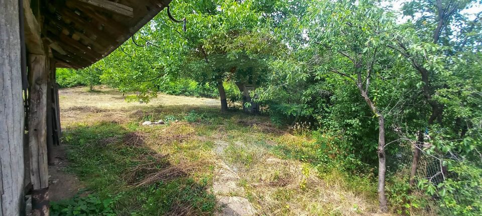 Land 3,551sqm Poiana Copaceni / Strada Poiana Copaceni