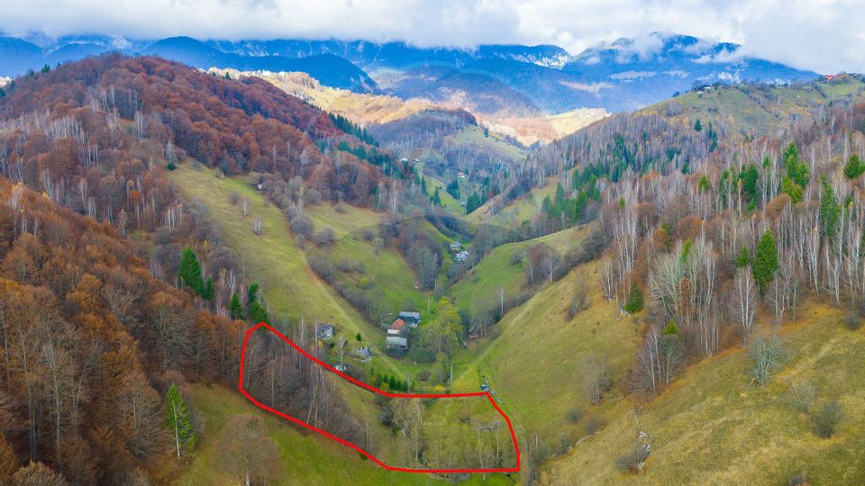 COMISION 0% Teren 8013mp Moieciu de Jos / Strada Valea cu Calea