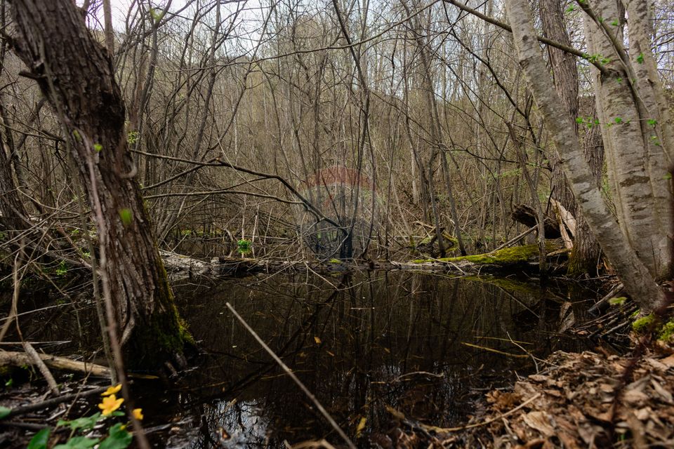 Land 30,283sqm Cazaci / Strada Principala DC 135