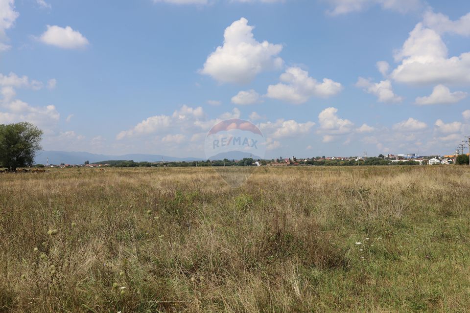Land 2,000sqm Sibiu / Intrarea Campsor