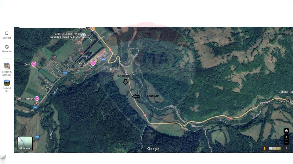 Teren Intravilan de Vânzare, Zona Brădet – Oportunitate de Investiție
