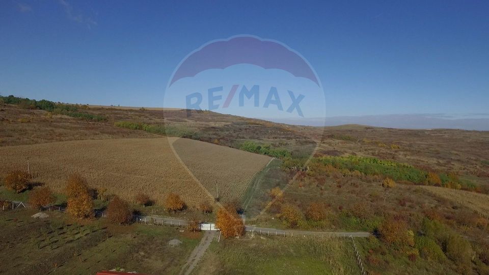 Teren Pădureni (Chinteni), intravilan, parcelabil