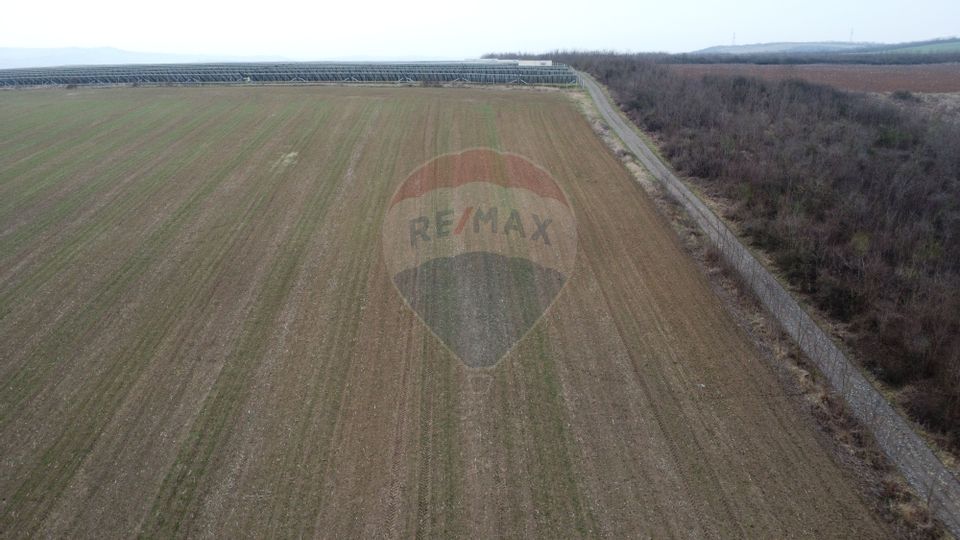 Land 9,800sqm Luna de Jos / Strada Principala