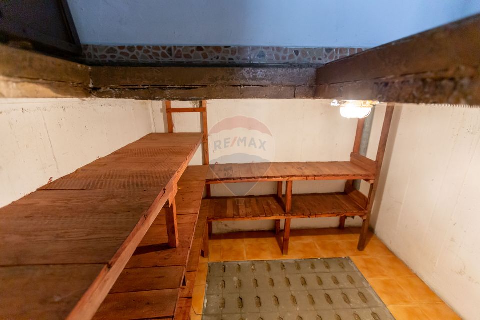 10 room House / Villa for sale, Serbanesti area