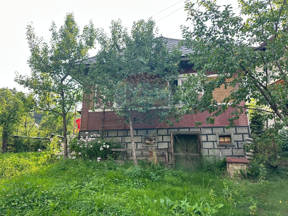 De vanzare GOSPODARIE in BUDESTI/ Maramures